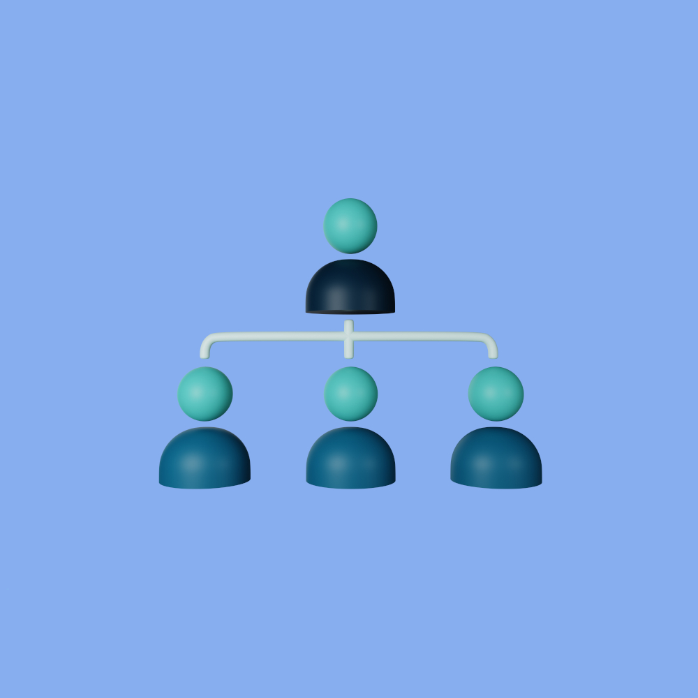 Job Titles & Role Hierarchy Management